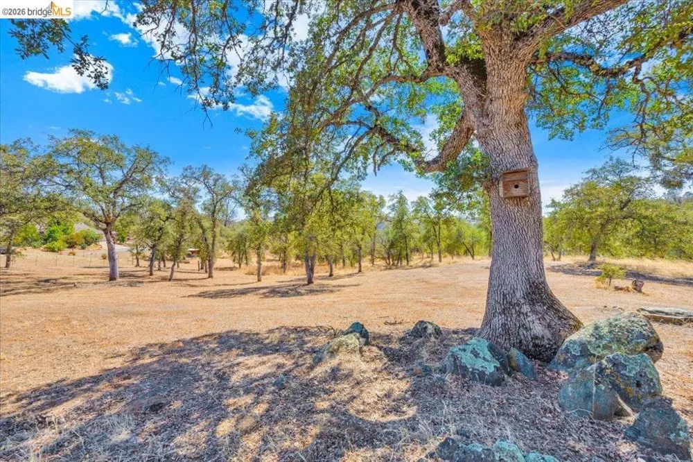 14450 Jacksonville Rd. Jamestown, CA 95327