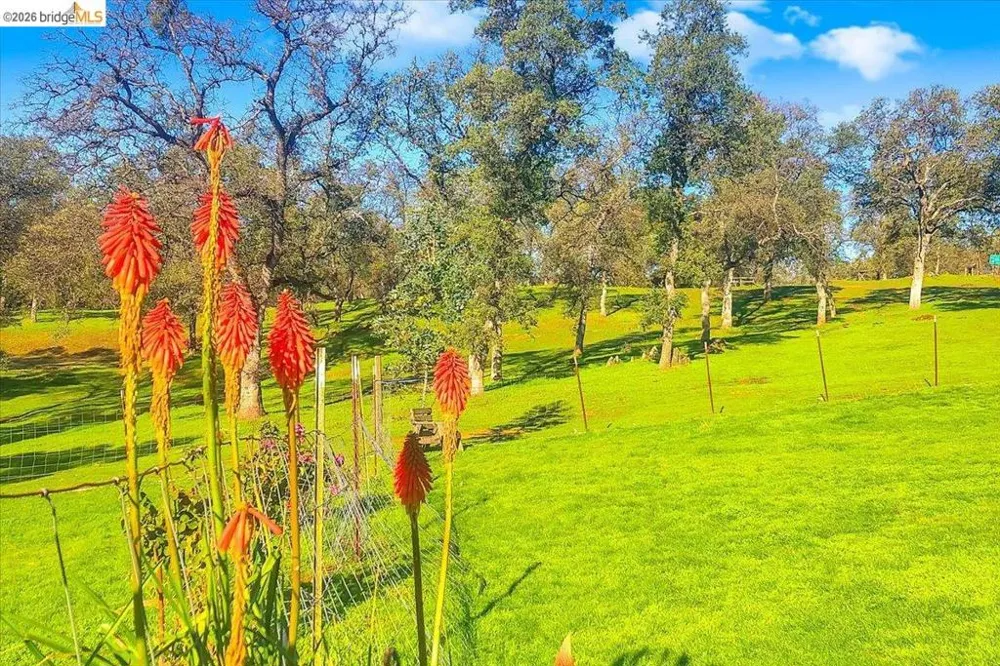 14450 Jacksonville Rd. Jamestown, CA 95327