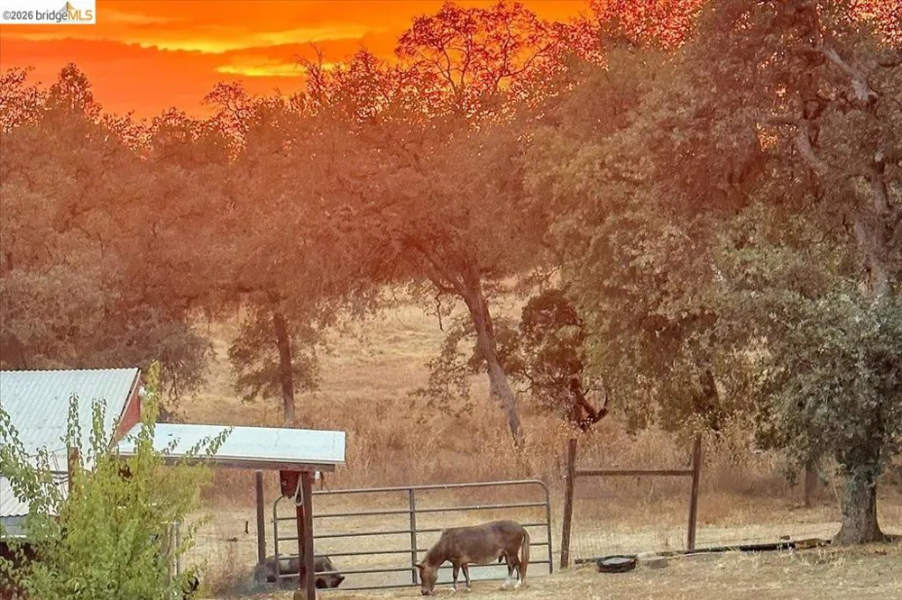 14450 Jacksonville Rd. Jamestown, CA 95327