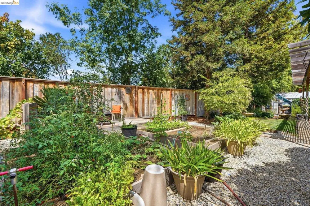 325 San Marino Ln Brentwood, CA 94513