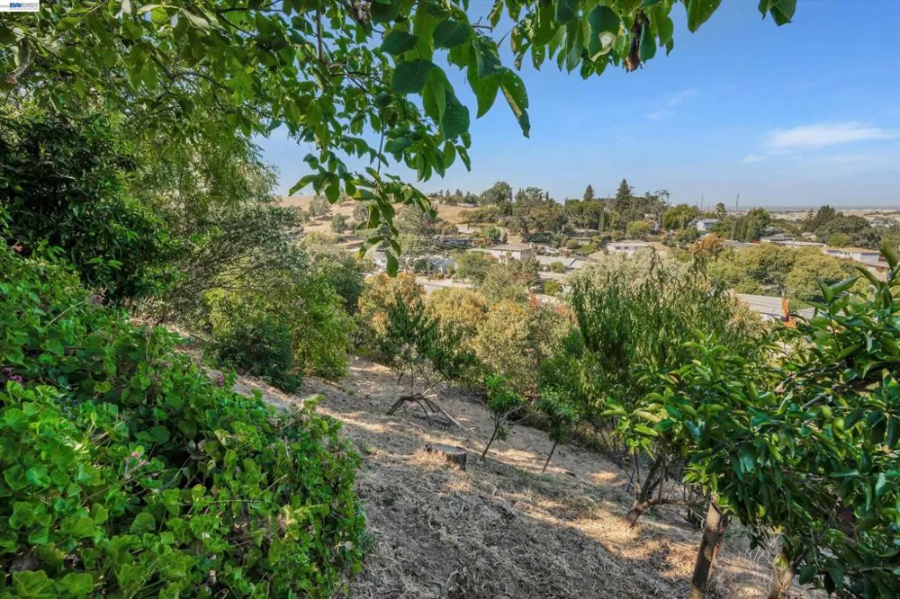 327 Kingston Ave Martinez, CA 94553