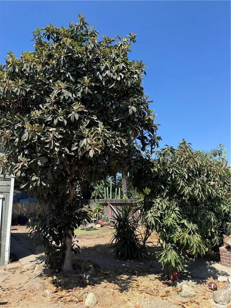 359 Drake Upland, CA 91786