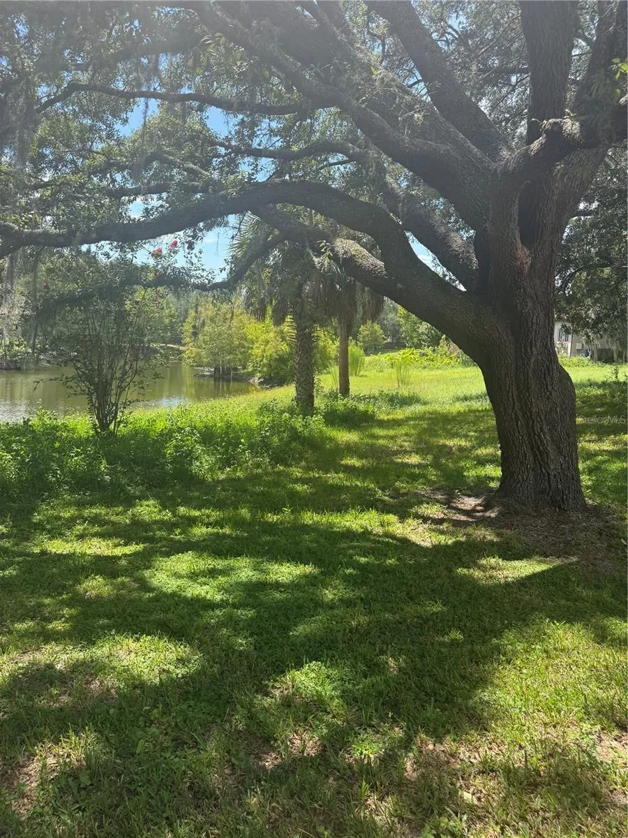 PARK RIDGE GOTHA ROAD Windermere, FL 34786