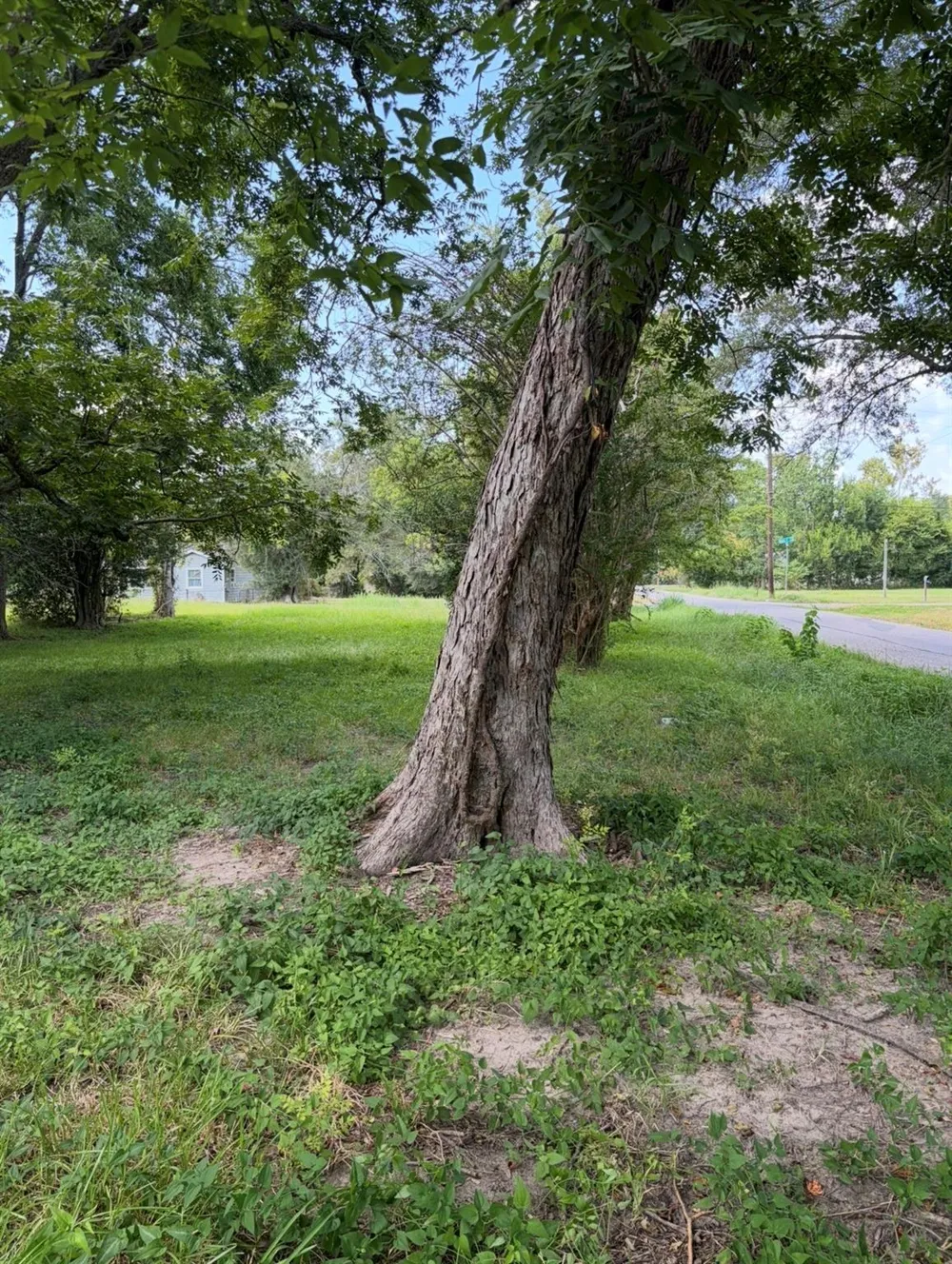 3455 Quinn St Street Beaumont, TX 77703