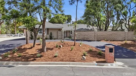 7831 Live Oak
