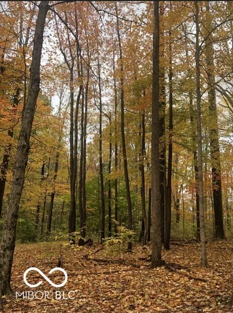 6956 Old Morgantown Road Martinsville, IN 46151