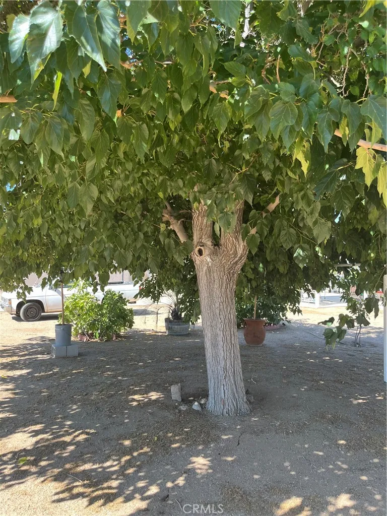 15893 Arbury Hesperia, CA 92345