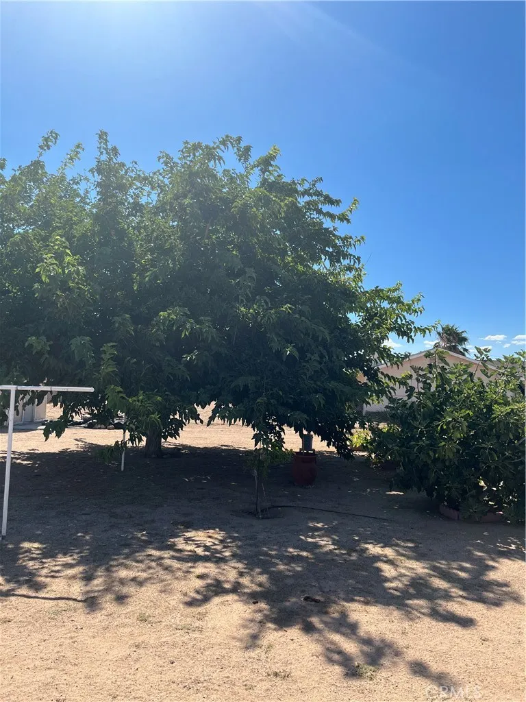 15893 Arbury Hesperia, CA 92345