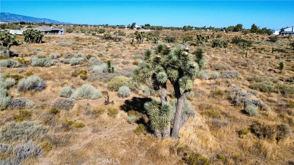 1 Muscatel Street Phelan, CA 92371