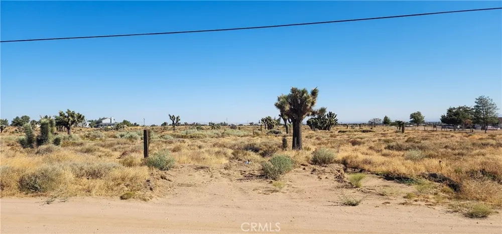 1 Muscatel Street Phelan, CA 92371