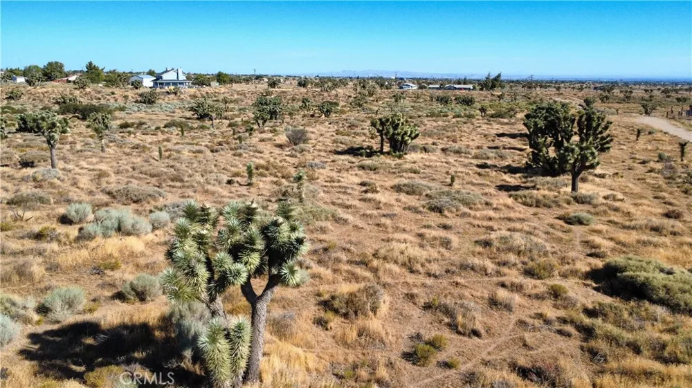 1 Muscatel Street Phelan, CA 92371