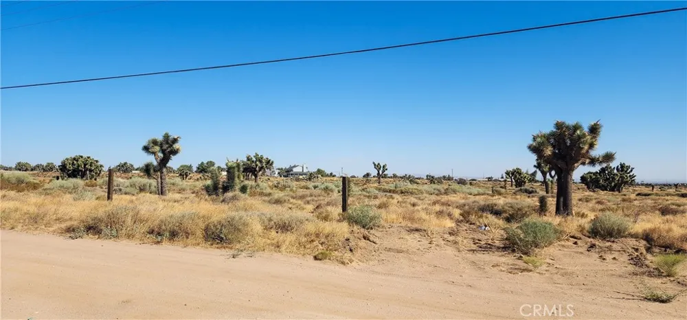 1 Muscatel Street Phelan, CA 92371