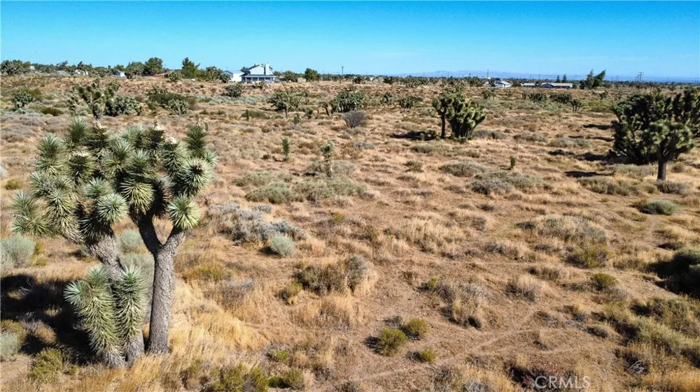 1 Muscatel Street Phelan, CA 92371