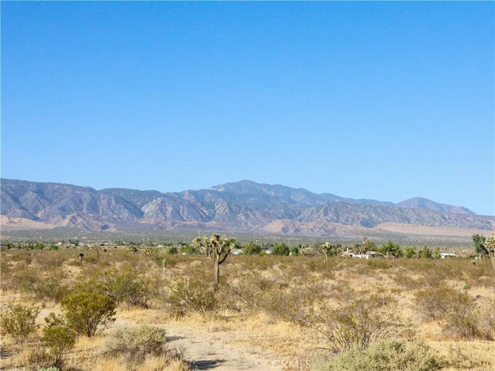 1 Muscatel Street Phelan, CA 92371