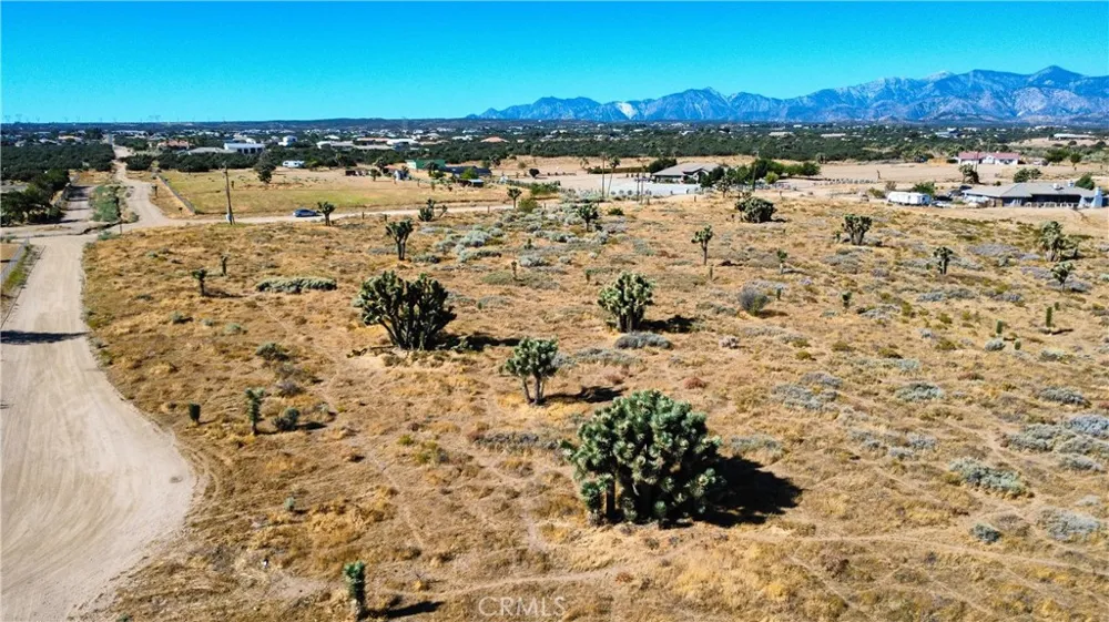 1 Muscatel Street Phelan, CA 92371