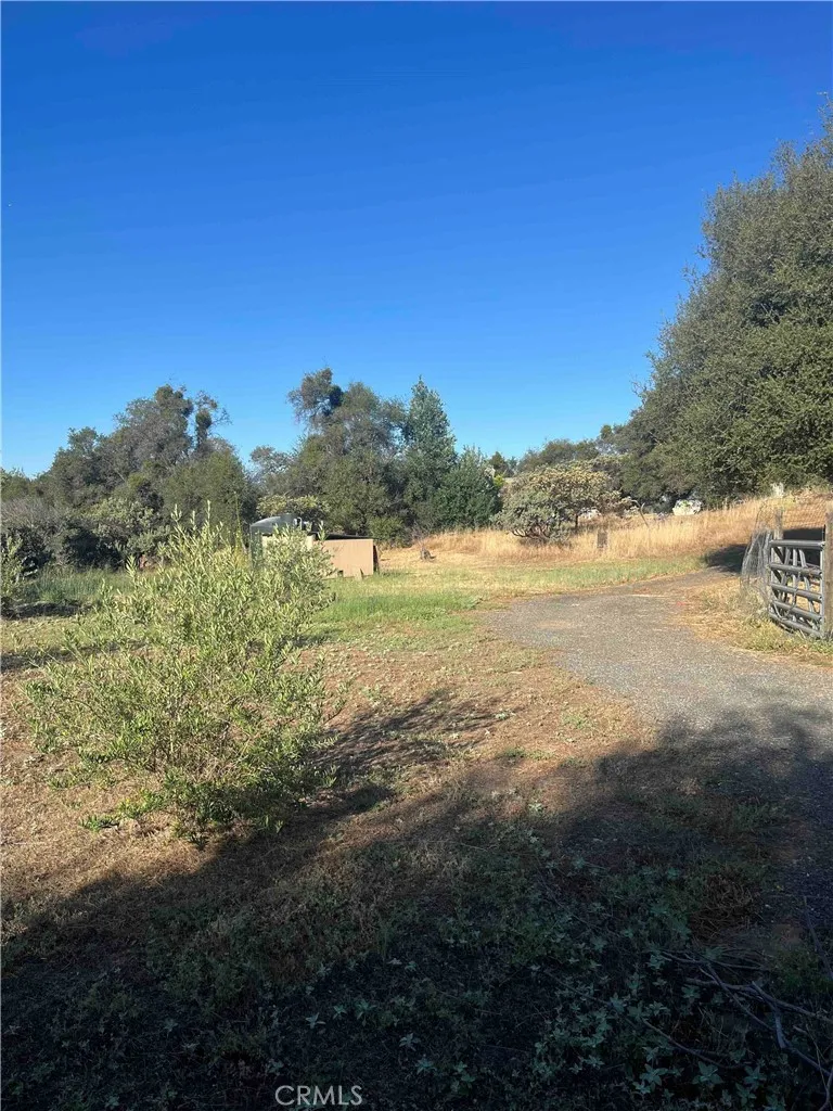 45990 Hawk Lane Coarsegold, CA 93614