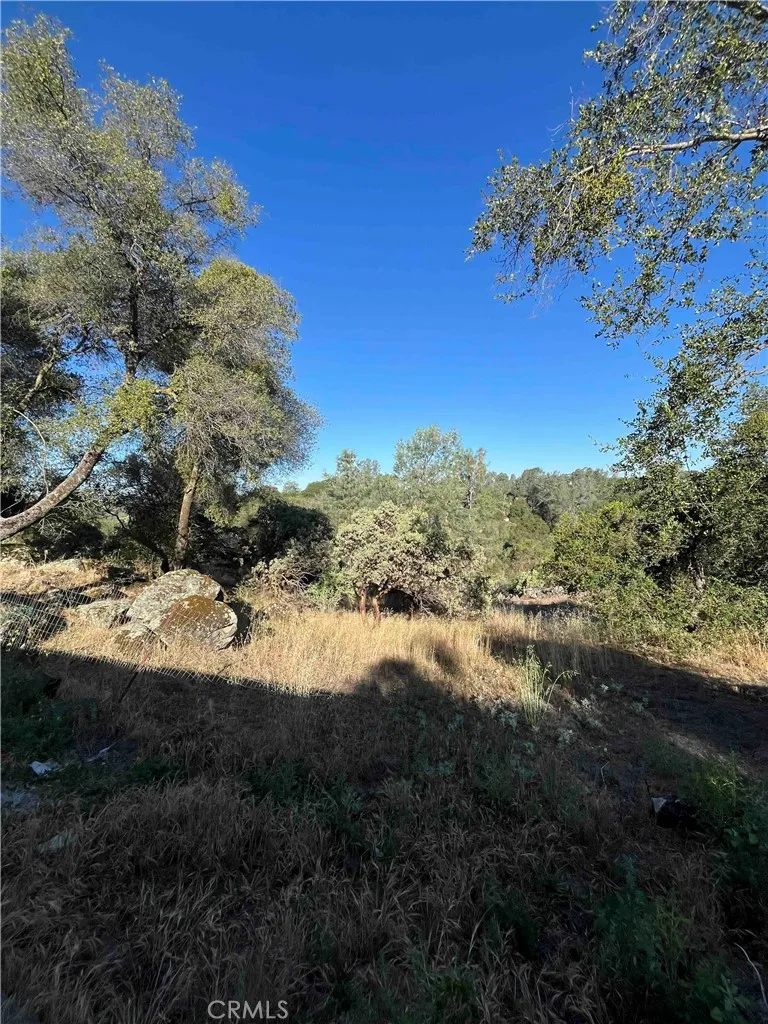 45990 Hawk Lane Coarsegold, CA 93614