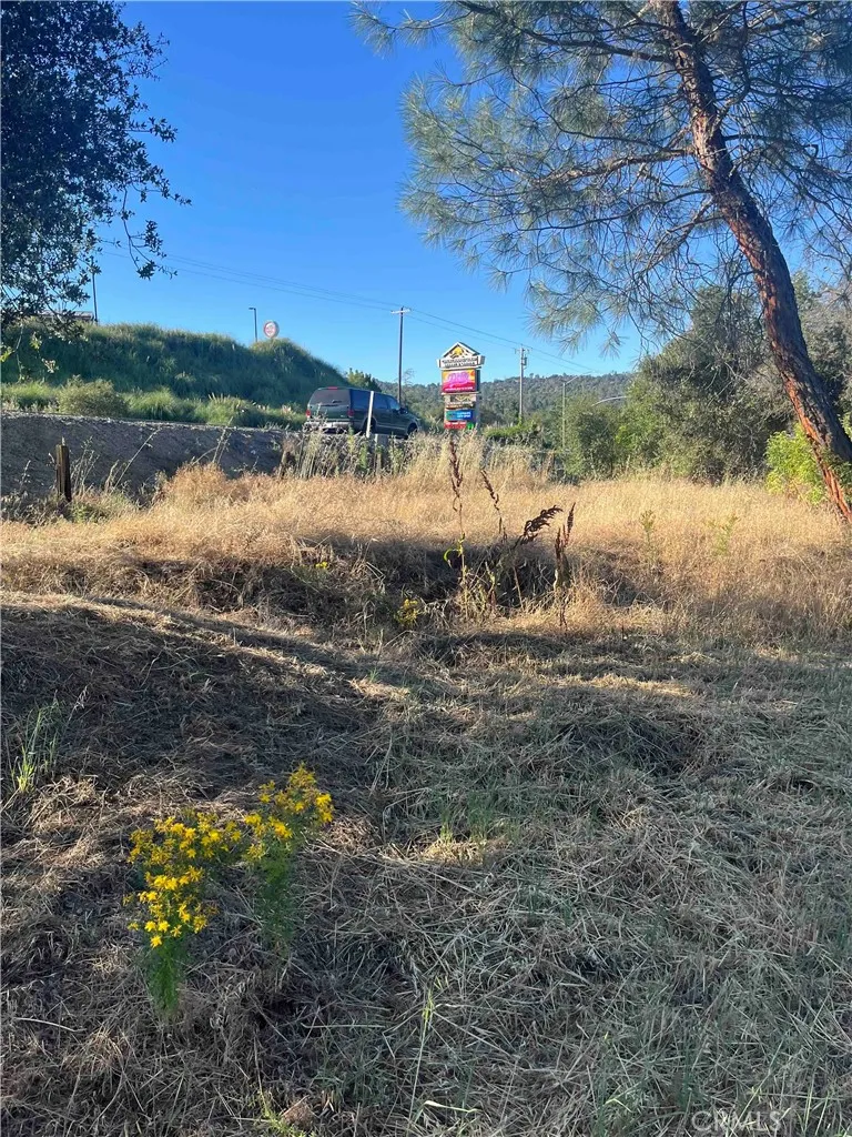 45990 Hawk Lane Coarsegold, CA 93614