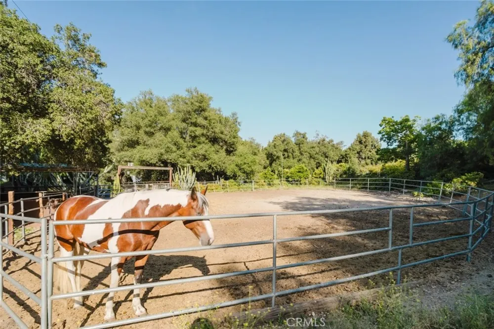 11857 East Trail Sylmar, CA 91342