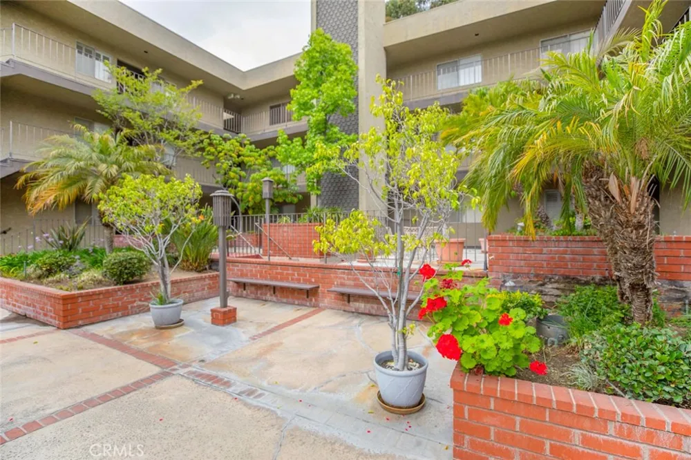 125 W Mountain Street #102 Glendale, CA 91202