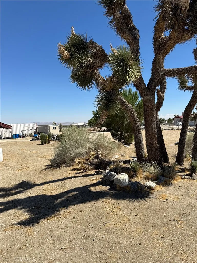 11522 Pinon Hills Pinon Hills, CA 92372