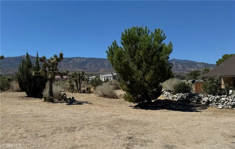 11522 Pinon Hills Pinon Hills, CA 92372