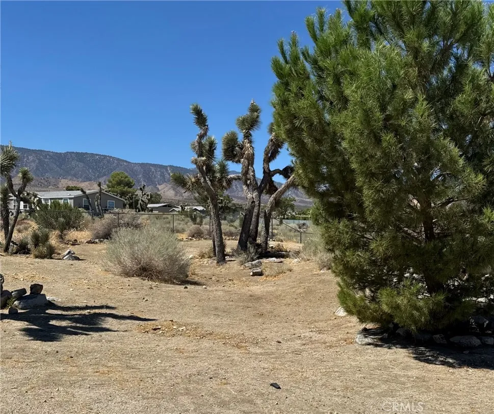 11522 Pinon Hills Pinon Hills, CA 92372
