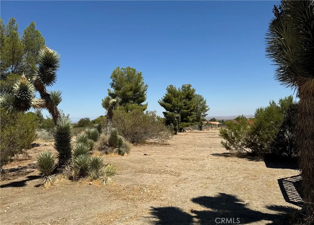 11522 Pinon Hills Pinon Hills, CA 92372