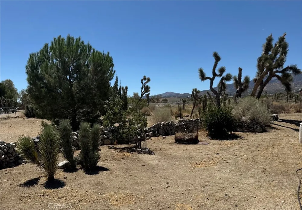 11522 Pinon Hills Pinon Hills, CA 92372