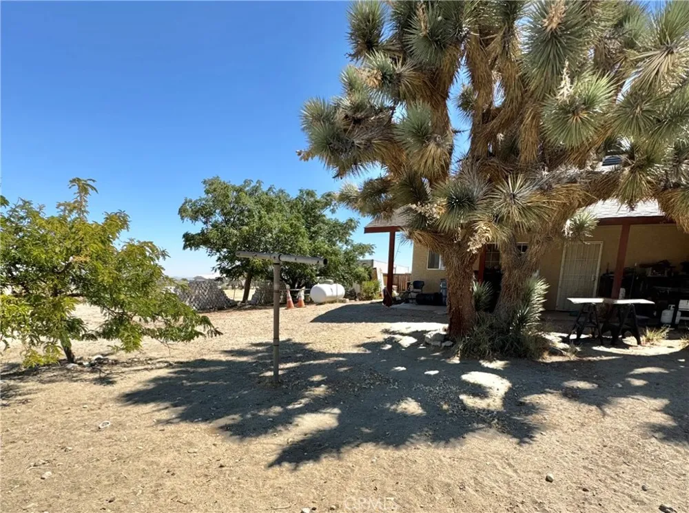 11522 Pinon Hills Pinon Hills, CA 92372