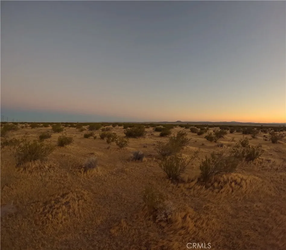 20 Mule Team Rd Kramer Junction, CA 93000