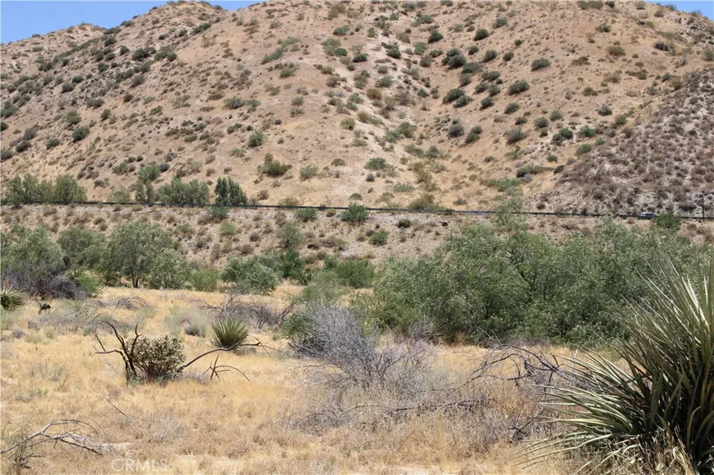 Pinon Avenue Morongo Valley, CA 92256