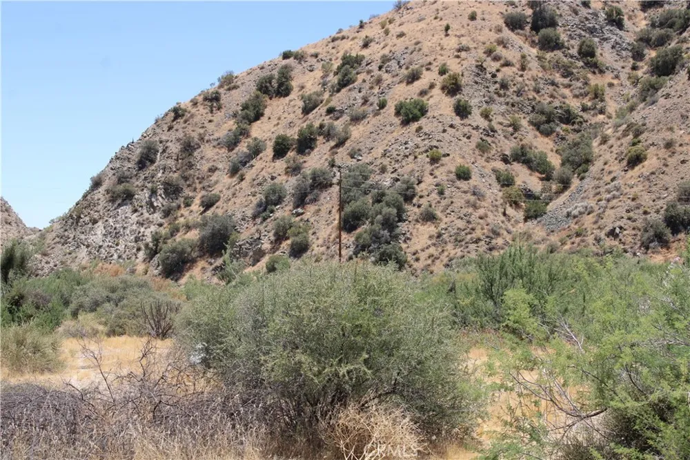 Pinon Avenue Morongo Valley, CA 92256