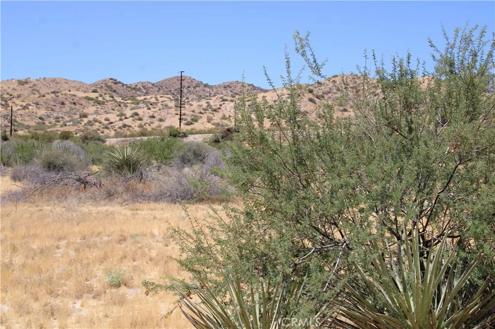 Pinon Avenue Morongo Valley, CA 92256