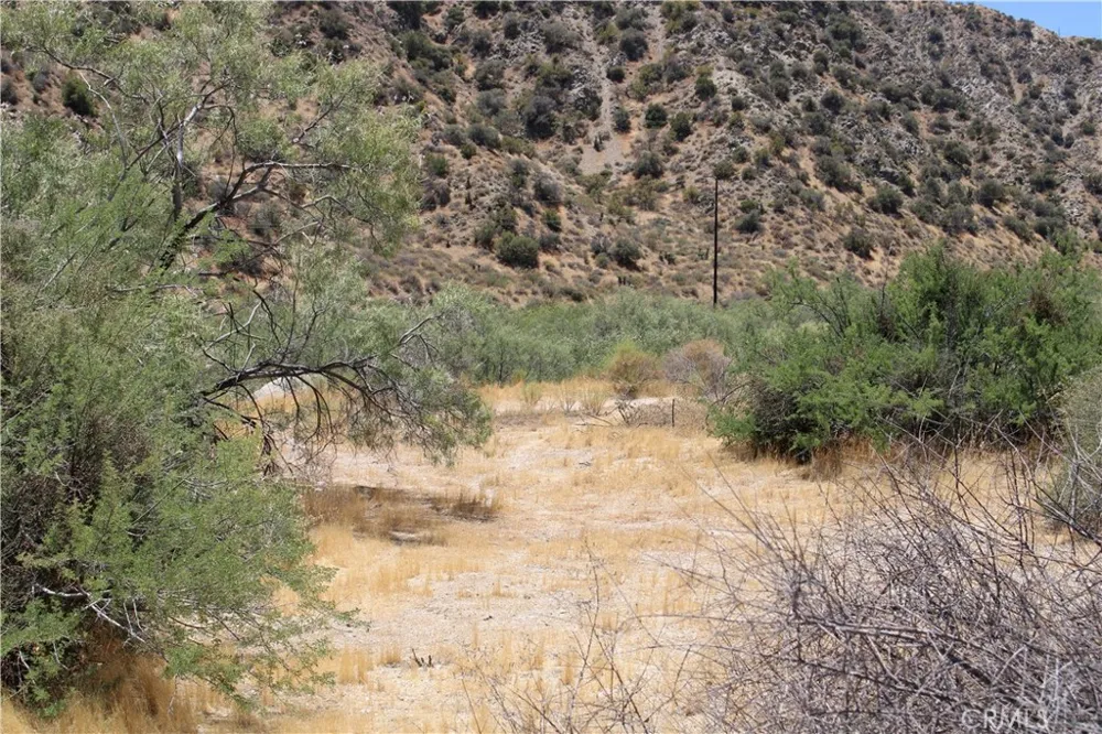 Pinon Avenue Morongo Valley, CA 92256