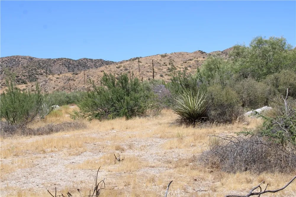 Pinon Avenue Morongo Valley, CA 92256