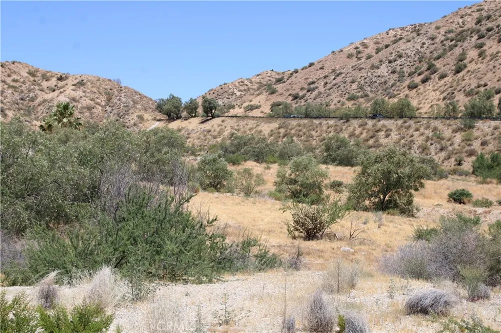 Pinon Avenue Morongo Valley, CA 92256