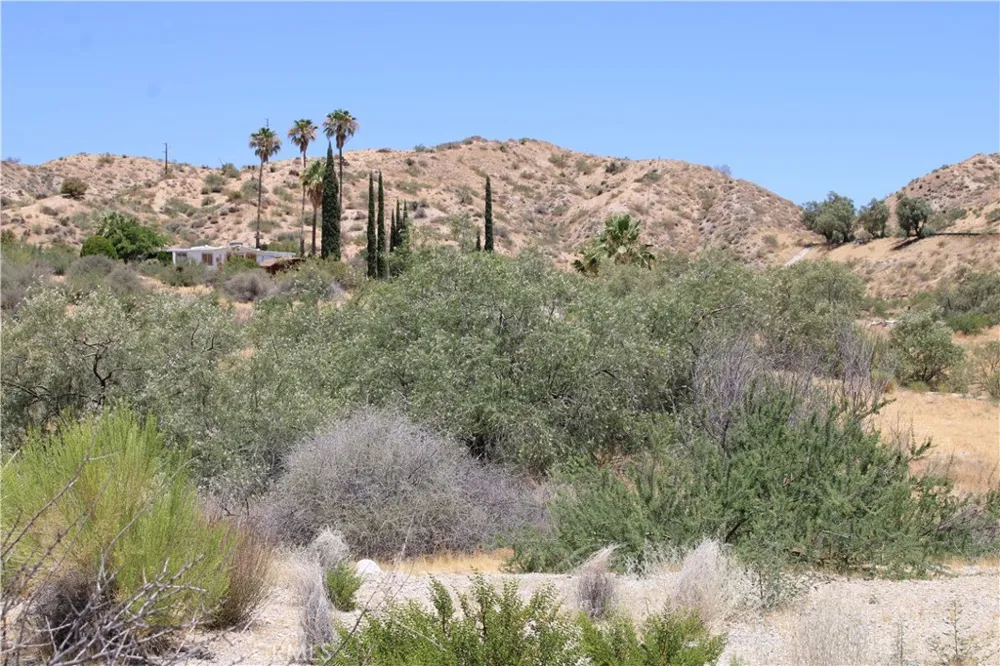 Pinon Avenue Morongo Valley, CA 92256