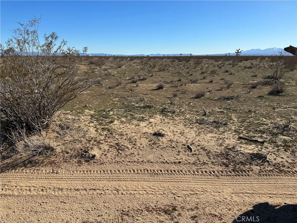 2 Wilson Ranch Rd Adelanto, CA 92301
