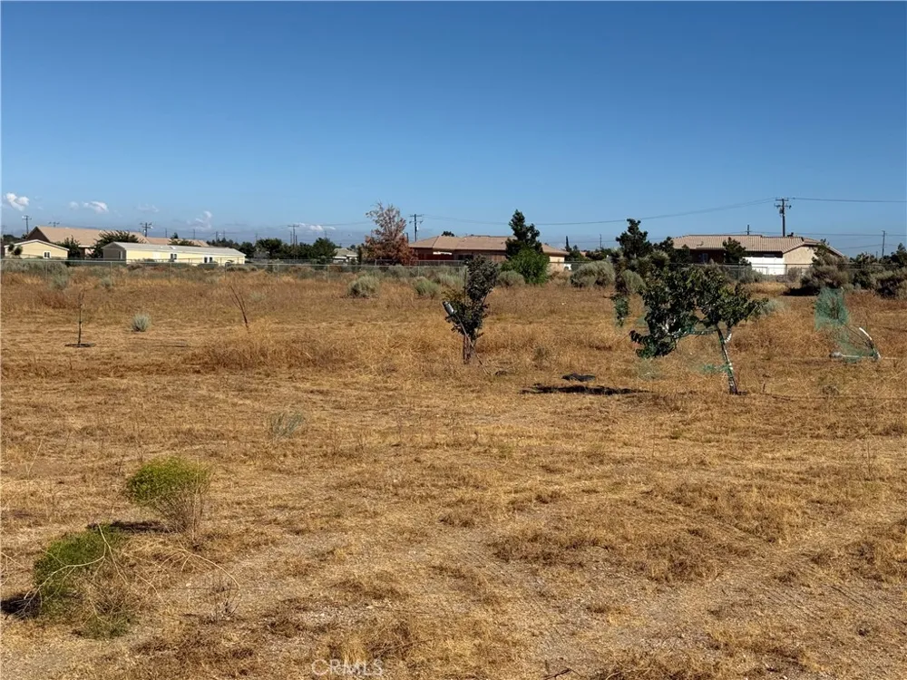 9934 Lager Phelan, CA 92371