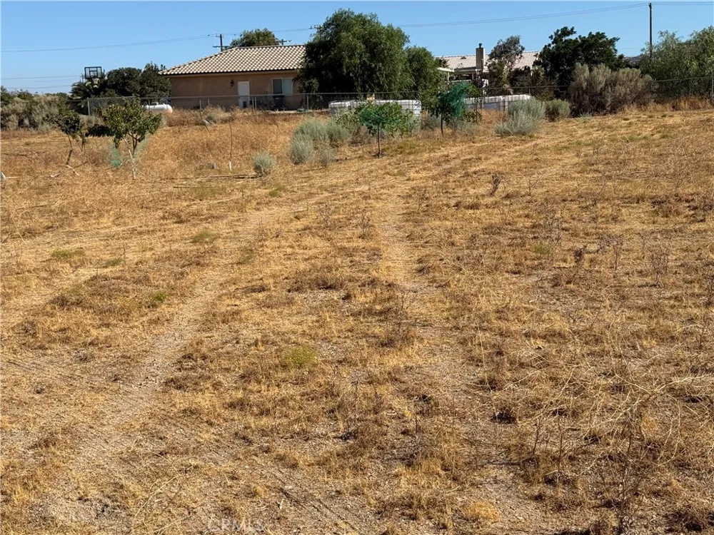 9934 Lager Phelan, CA 92371