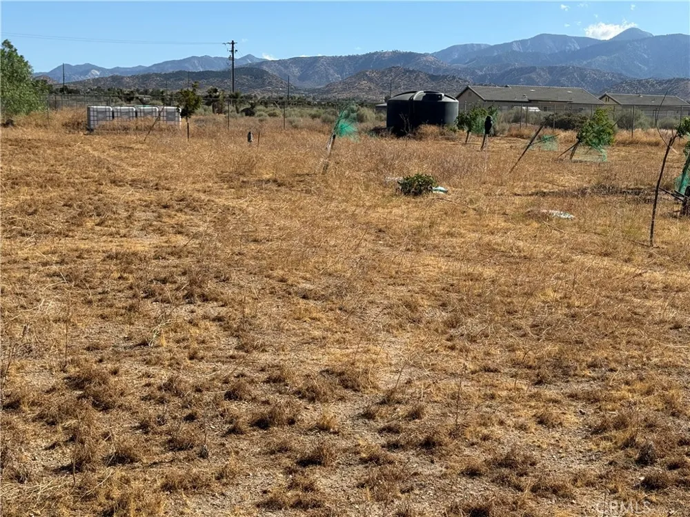 9934 Lager Phelan, CA 92371