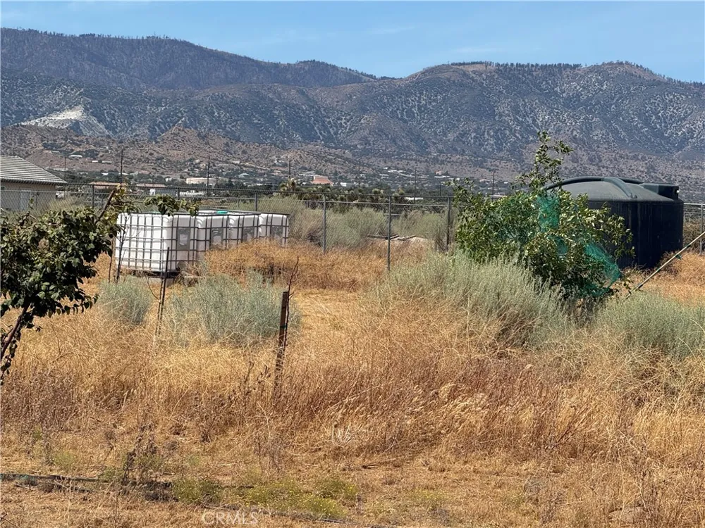9934 Lager Phelan, CA 92371