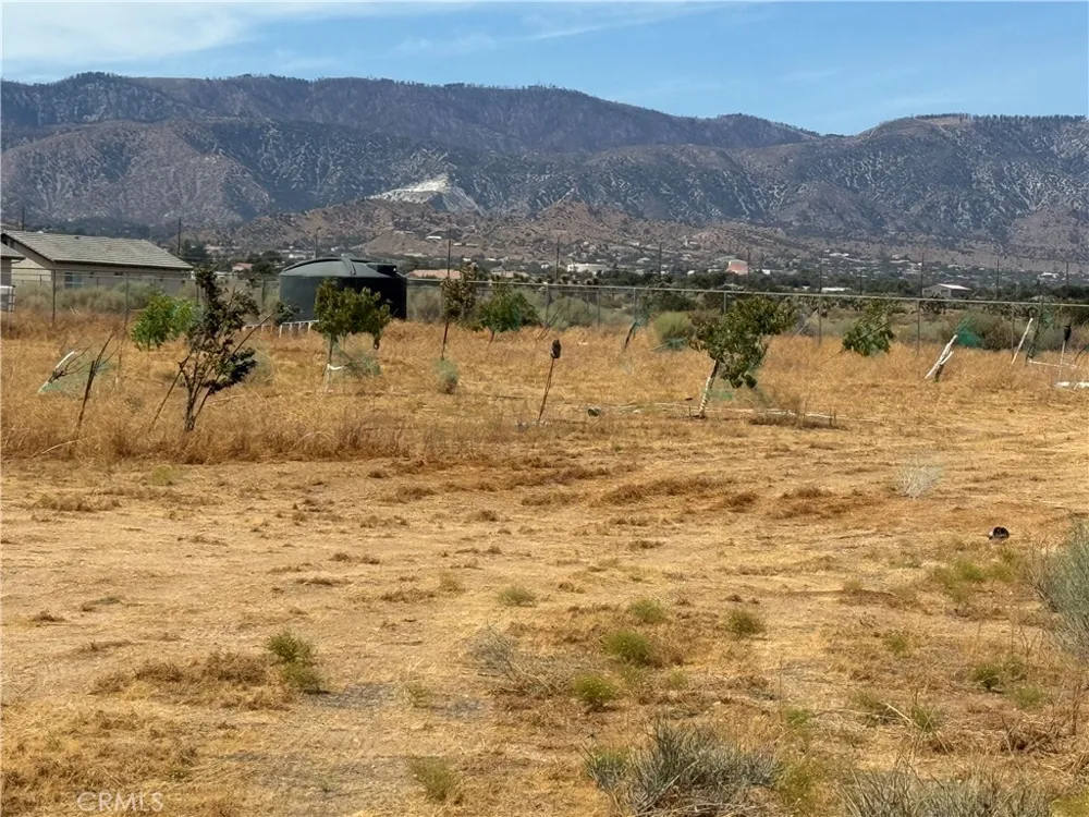 9934 Lager Phelan, CA 92371