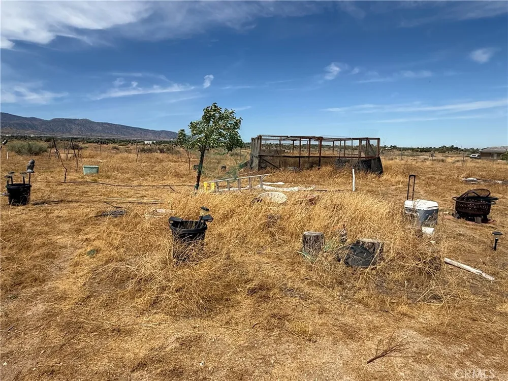 9934 Lager Phelan, CA 92371