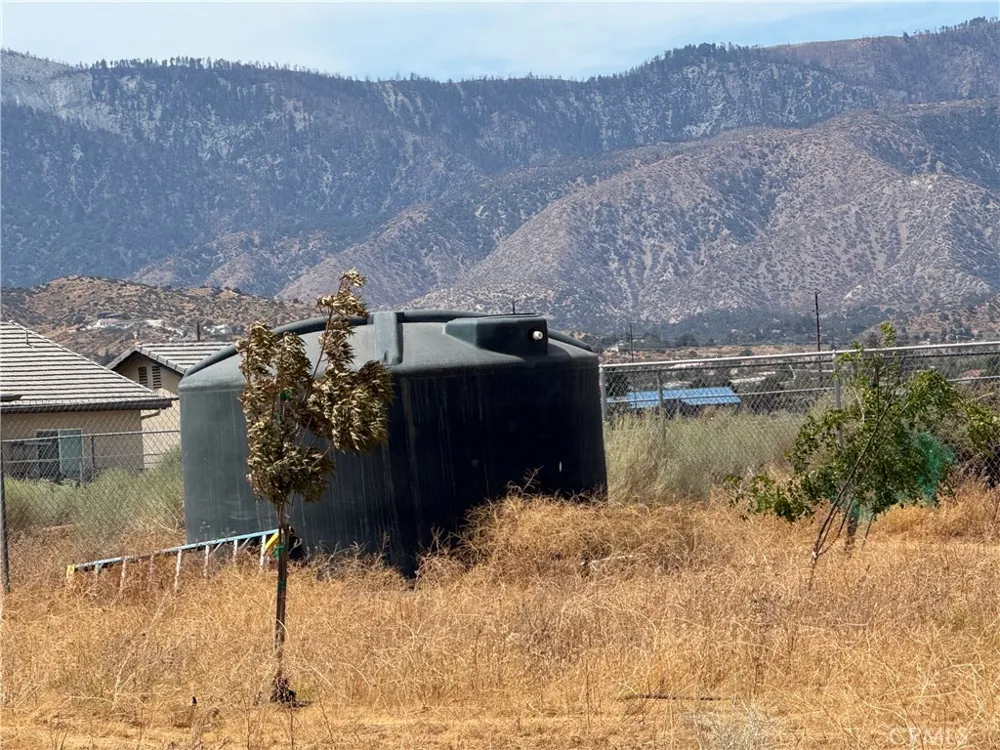 9934 Lager Phelan, CA 92371