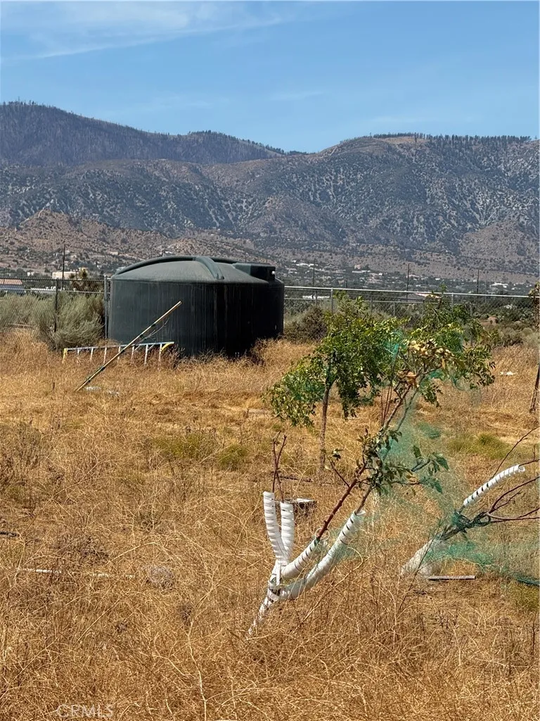 9934 Lager Phelan, CA 92371