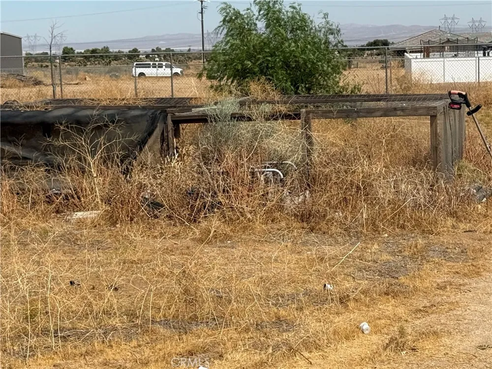 9934 Lager Phelan, CA 92371