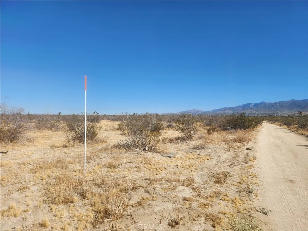 40 Pomona Road Pinon Hills, CA 92372
