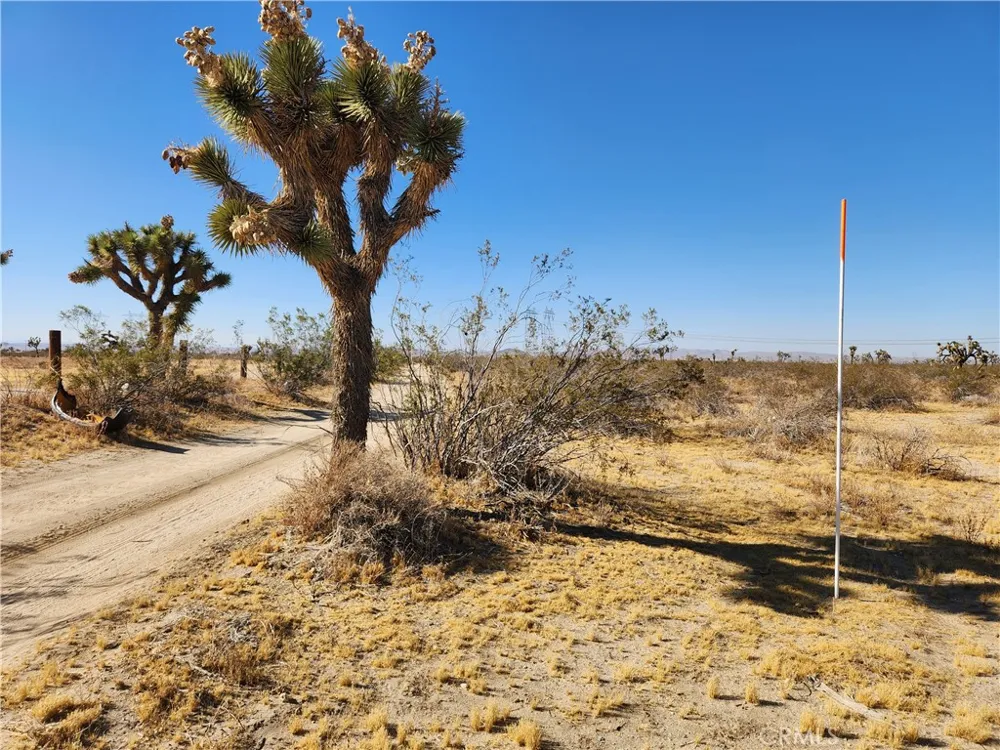 40 Pomona Road Pinon Hills, CA 92372